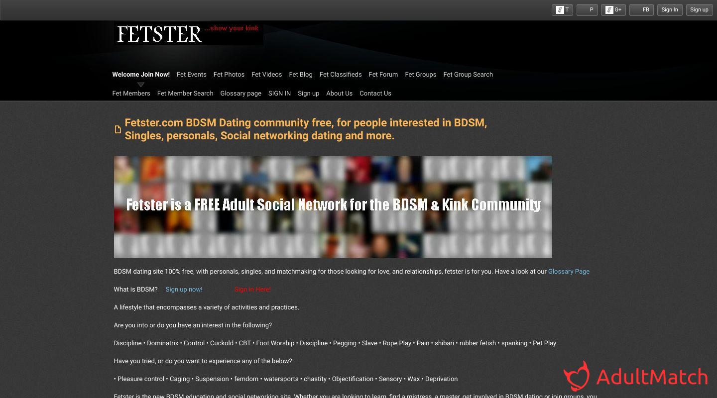fetster.com Review 2023