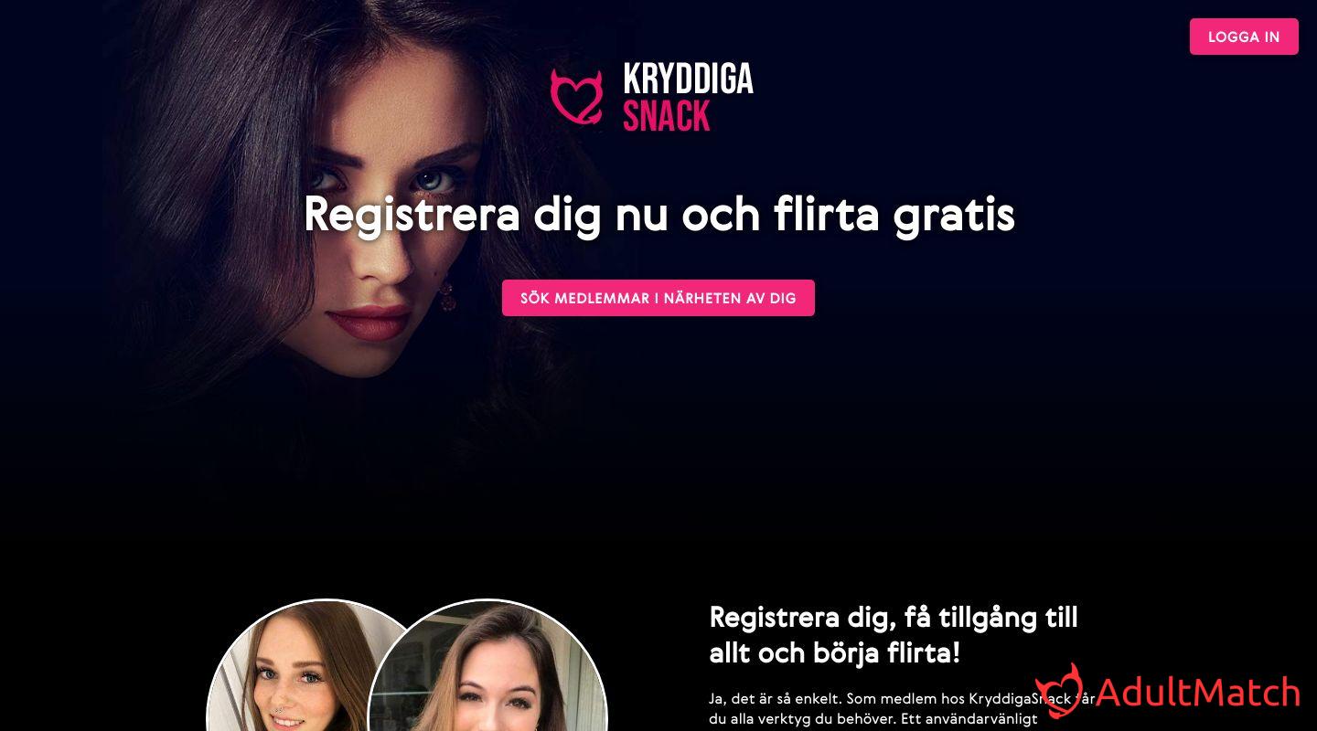kryddigasnack.com Review 2023